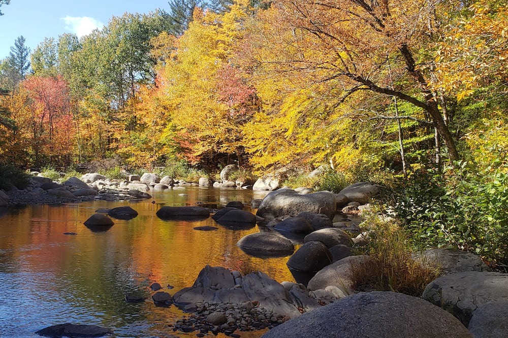 Photo of Others in East Central Franklin