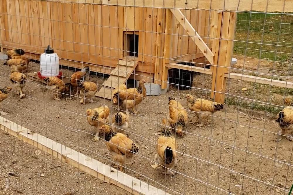 Photo of Outdoor in East Central Franklin