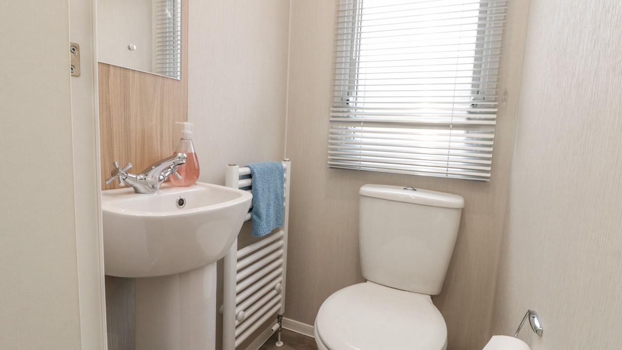 Photo of Others in Cayton Bay