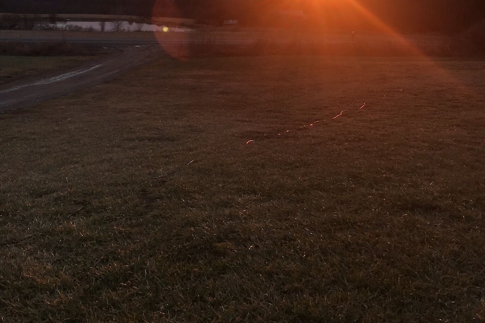 Photo of Others in Hector