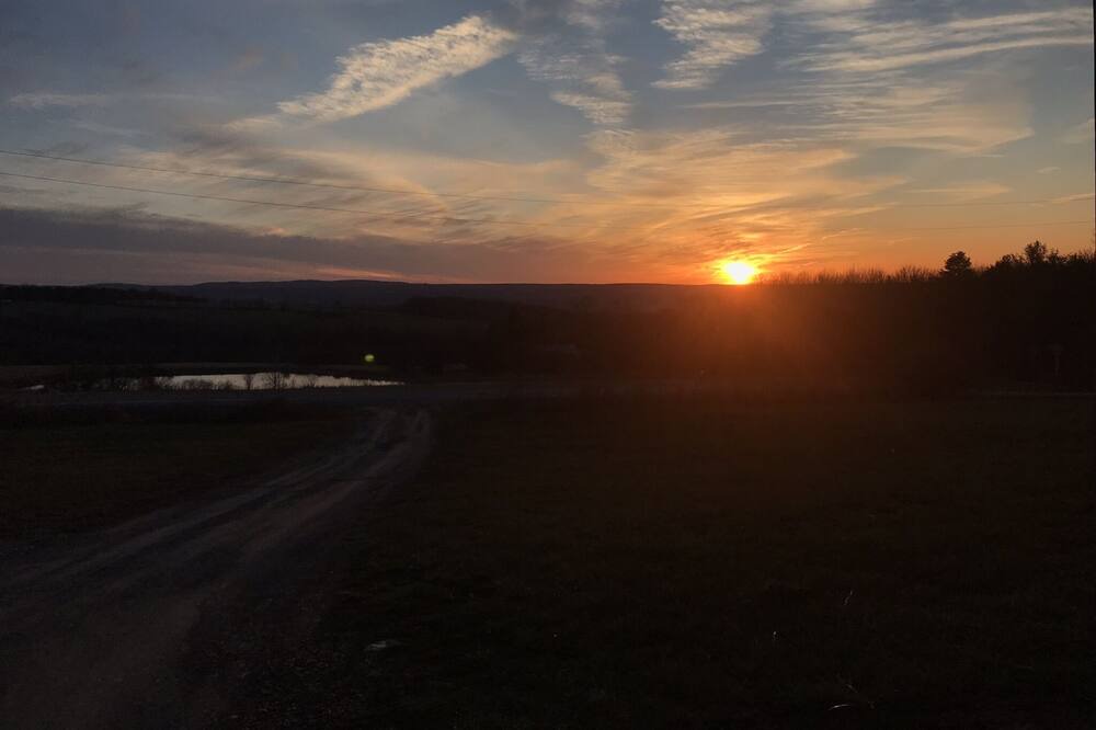 Photo of Outdoor in Hector