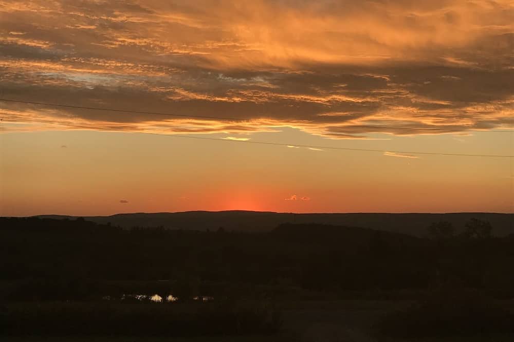 Photo of Outdoor in Hector