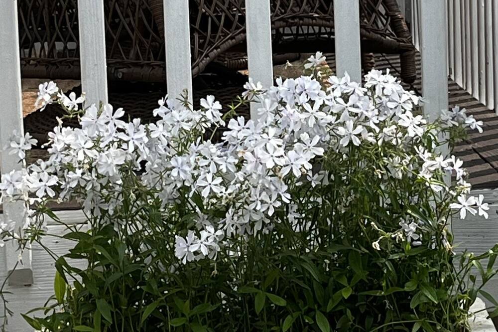 Photo of Outdoor in Annapolis