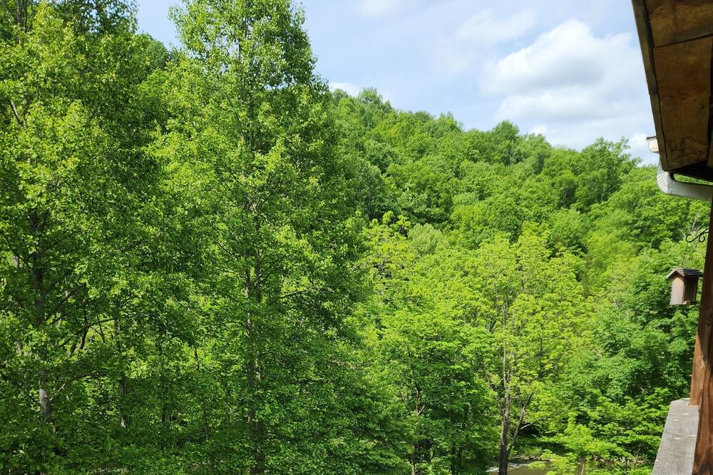 Photo of Outdoor in Claypool Hill