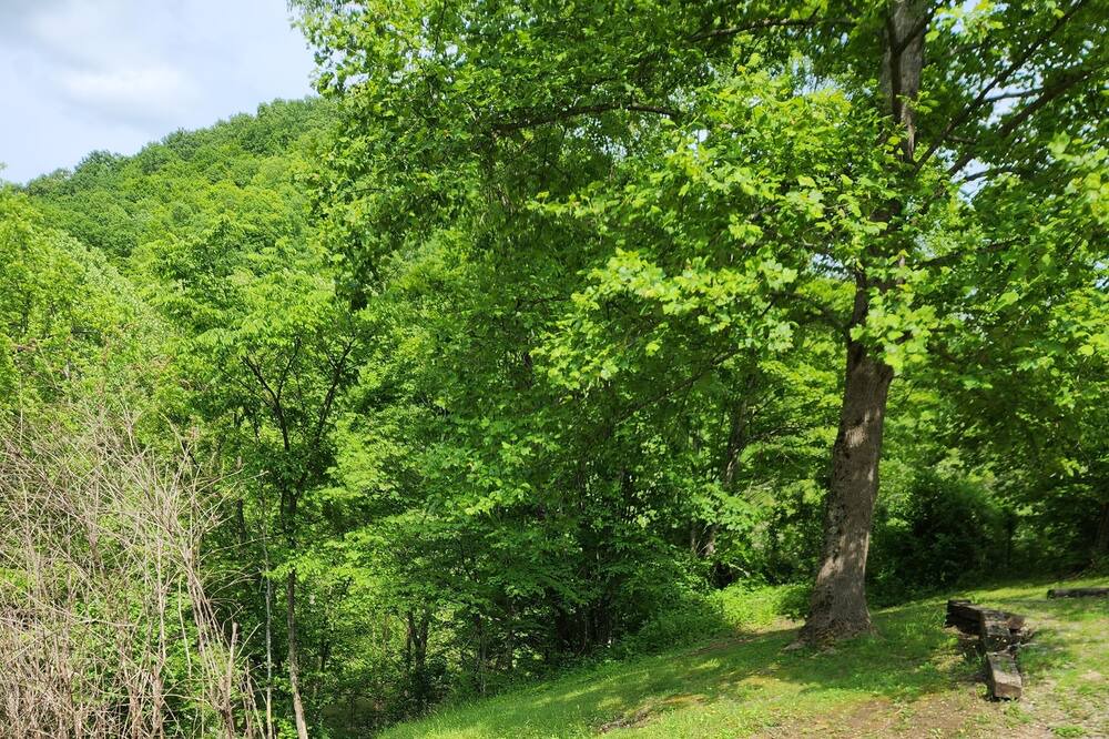 Photo of Outdoor in Claypool Hill