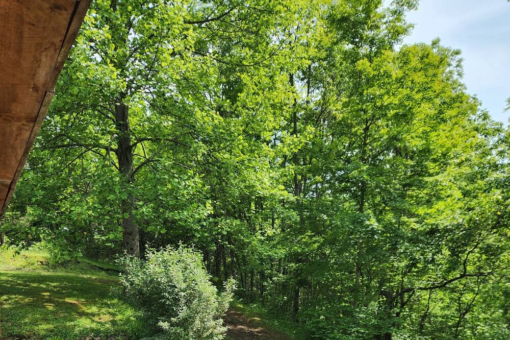Photo of Outdoor in Claypool Hill