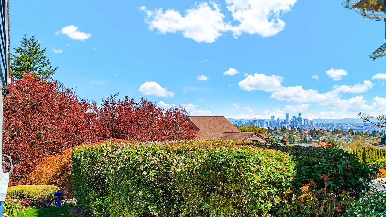 Photo of Outdoor in Briarcliff