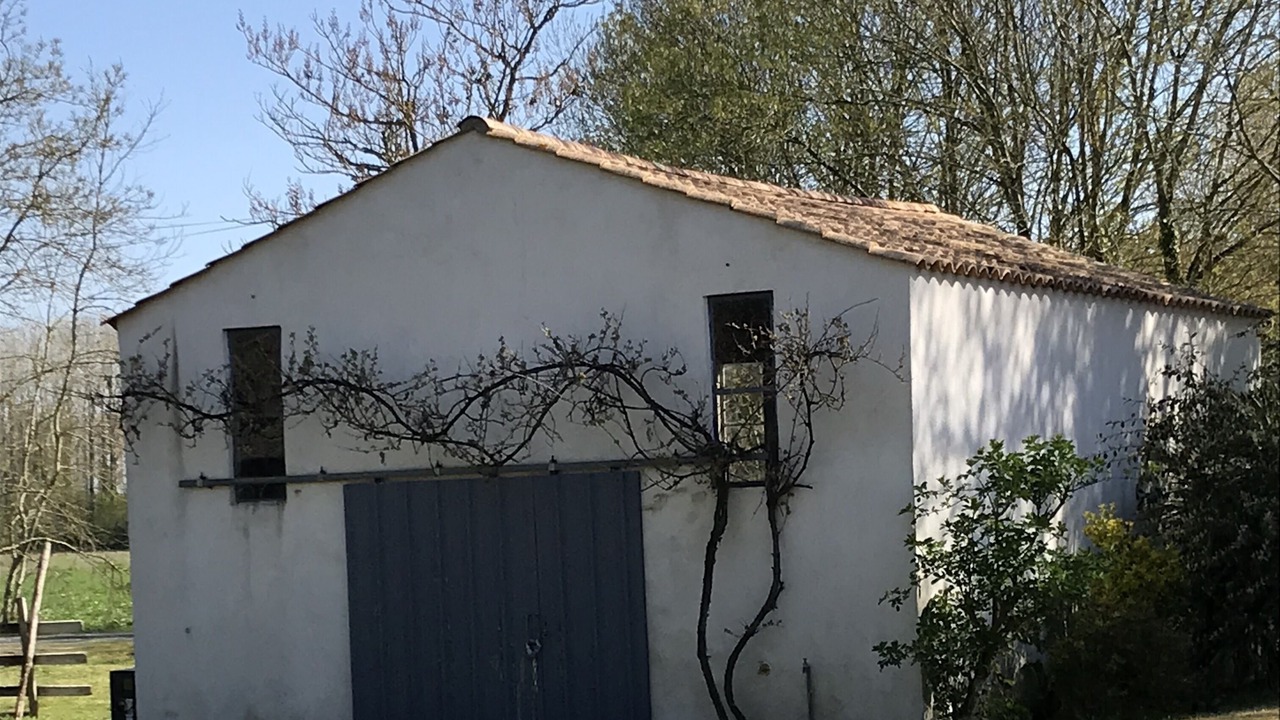 Photo of Others in Soullans