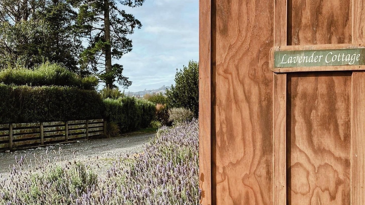 Photo of Others in Havelock North