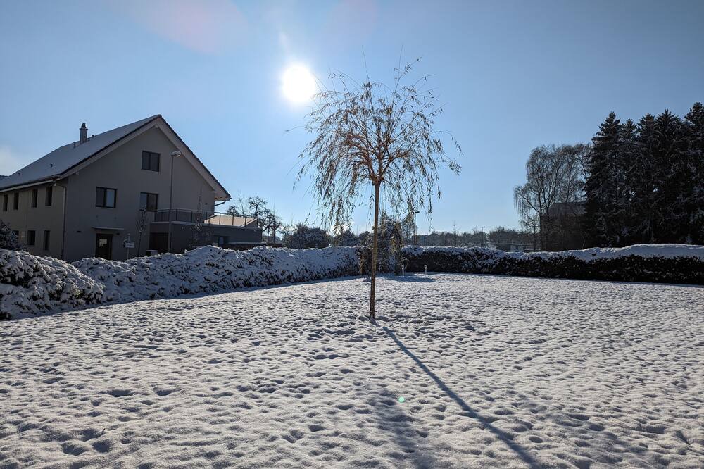 Photo of Others in Langrickenbach