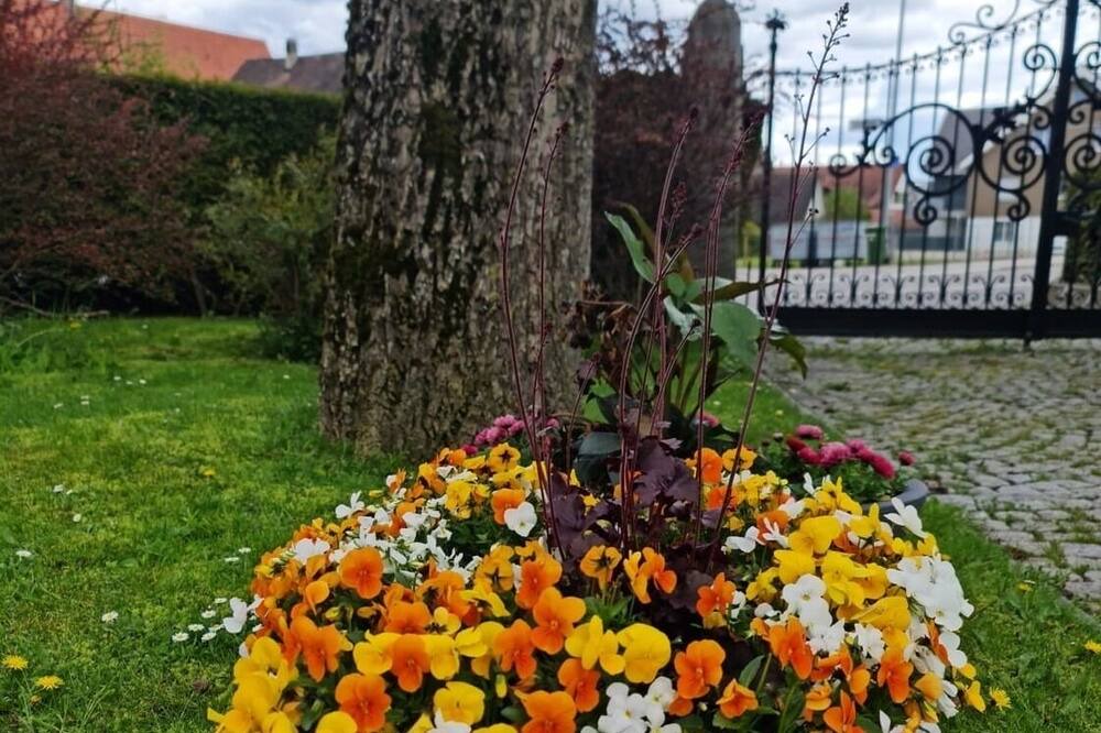 Photo of Outdoor in Langrickenbach