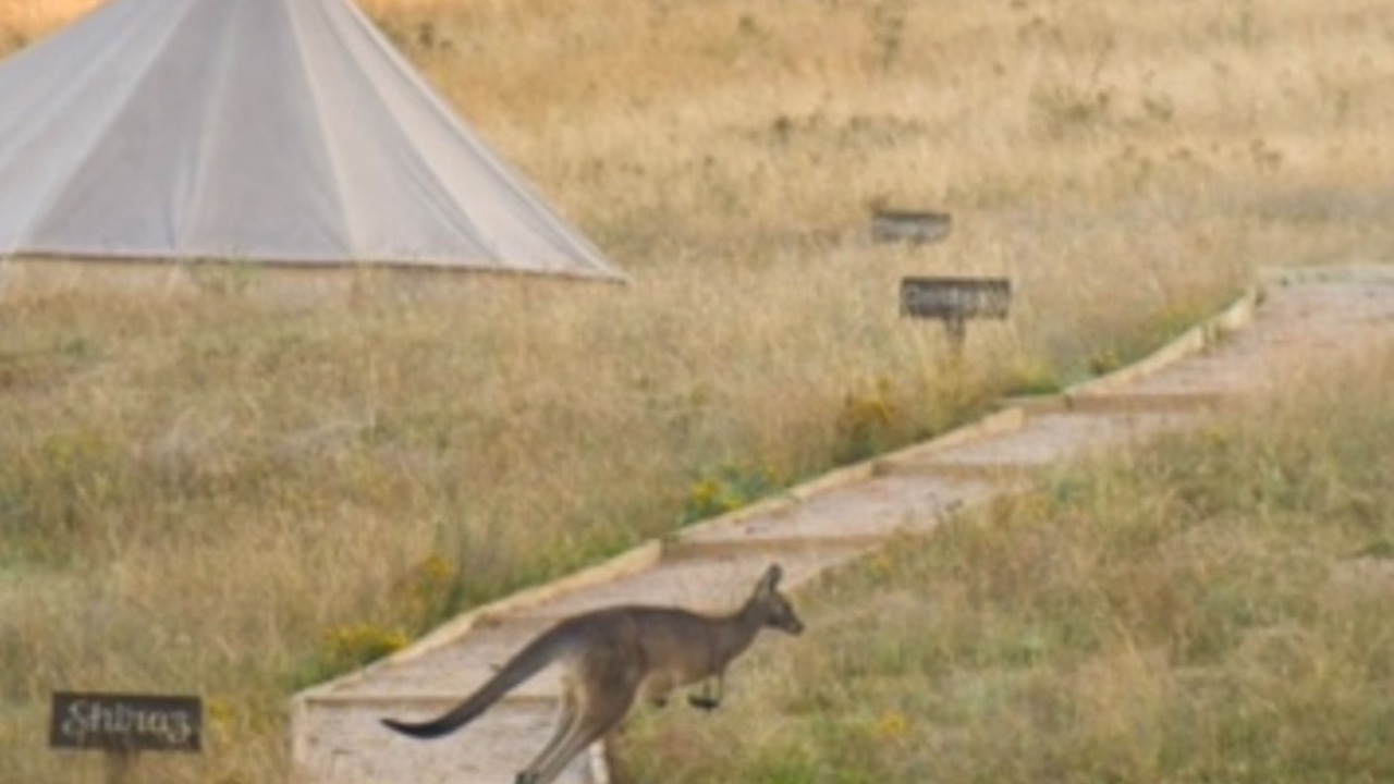 Photo of Others in Windeyer