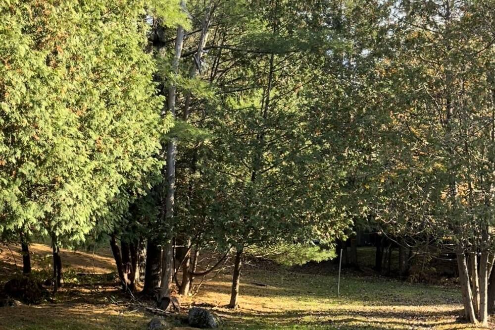 Photo of Outdoor in Orford