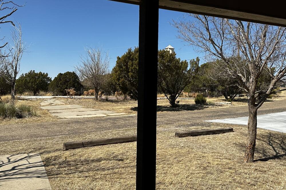 Photo of Outdoor in Canyon