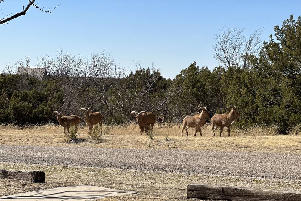 Photo of Outdoor in Canyon