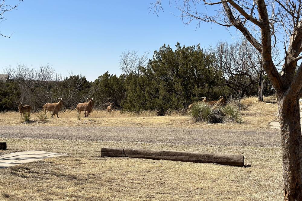 Photo of Outdoor in Canyon