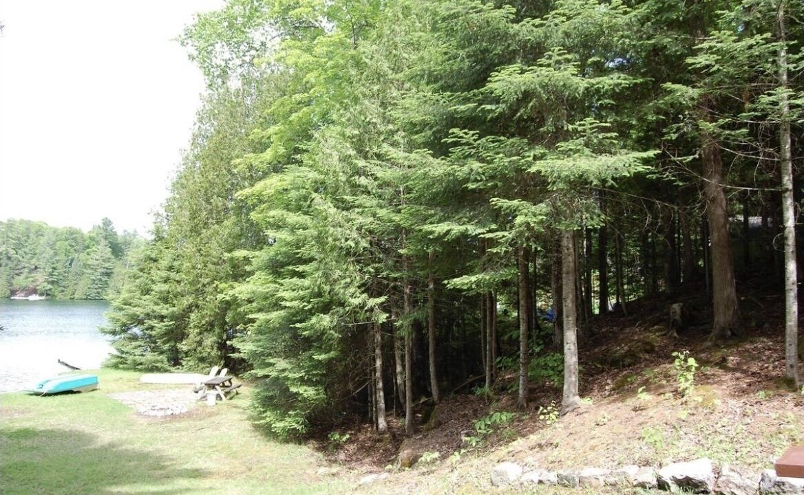 Photo of Outdoor in Minden Hills