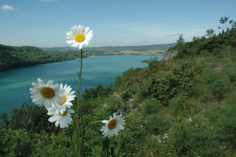 Photo of Others in Marigny