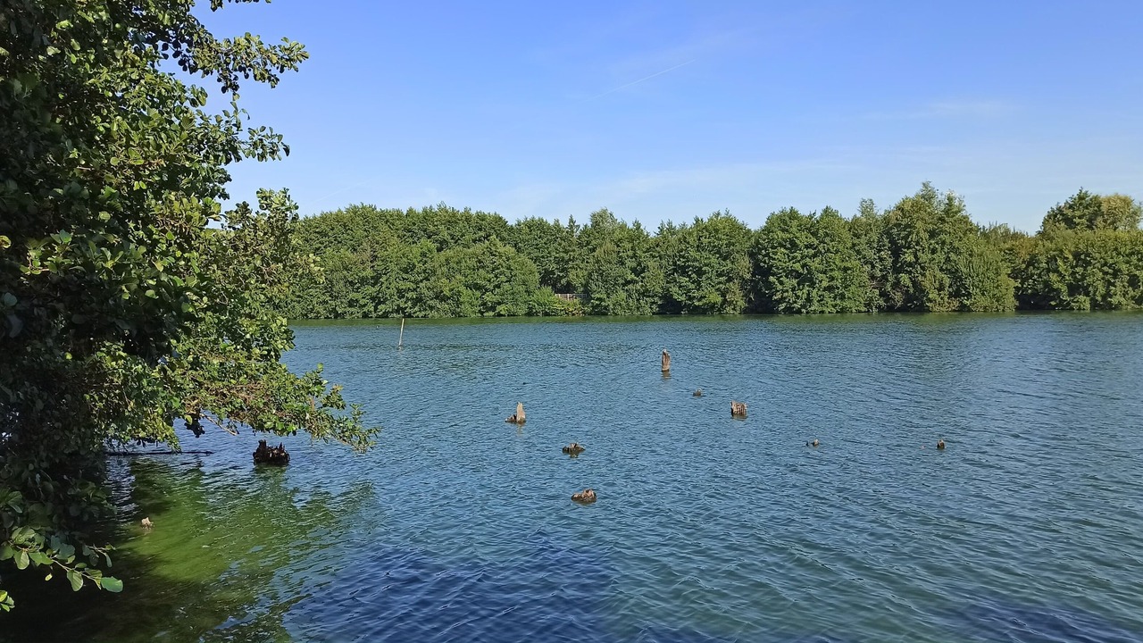 Photo of Outdoor in Condette