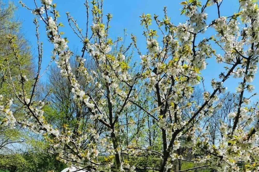 Photo of Outdoor in Sougeres-en-Puisaye