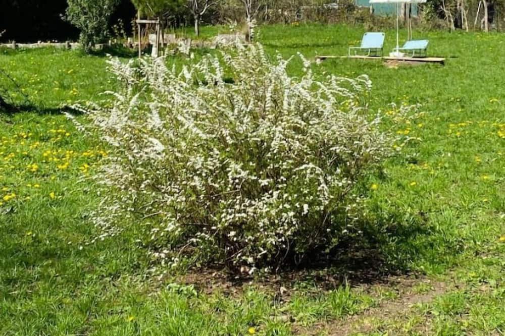 Photo of Outdoor in Sougeres-en-Puisaye