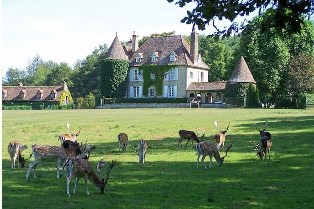 Photo of Outdoor in Sougeres-en-Puisaye