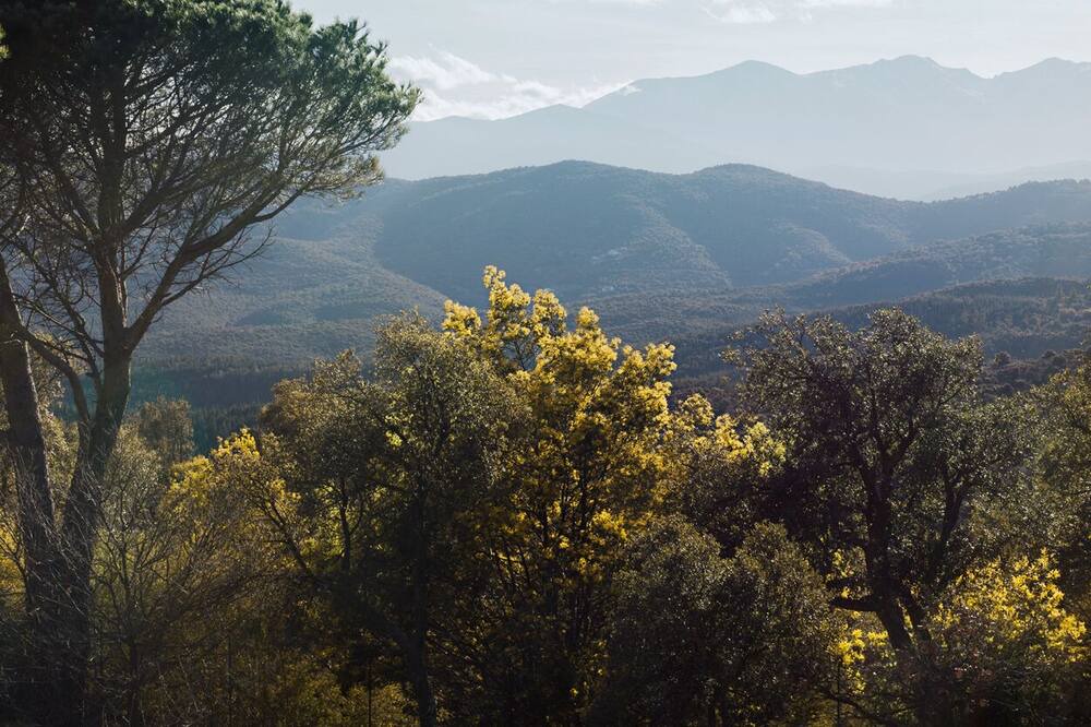 Photo of Others in Castelnou