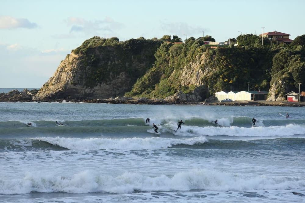Photo of Others in Titahi Bay