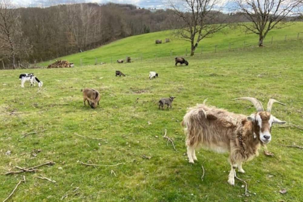 Photo of Outdoor in Vigeois