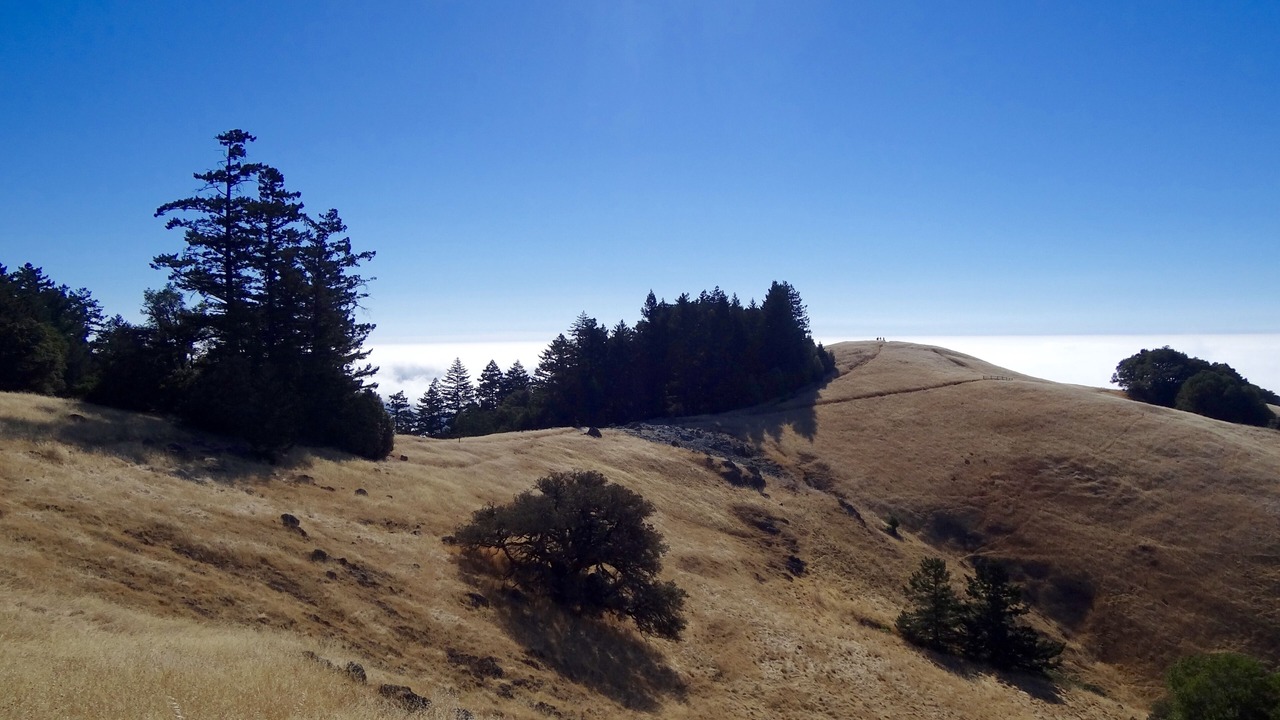 Photo of Outdoor in Tamalpais-Homestead Valley