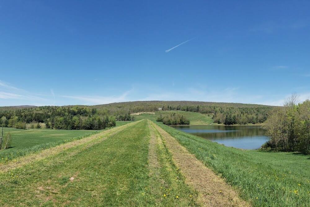 Photo of Others in Maplecrest