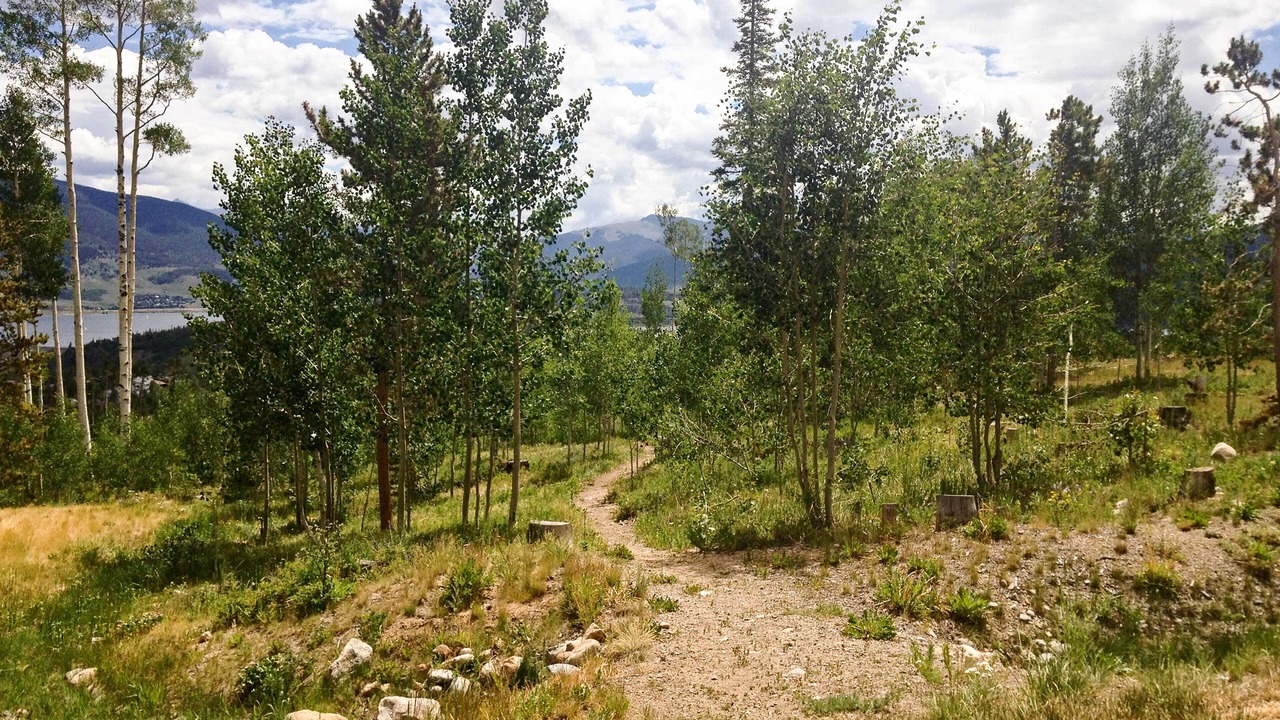 Photo of Others in Wildernest