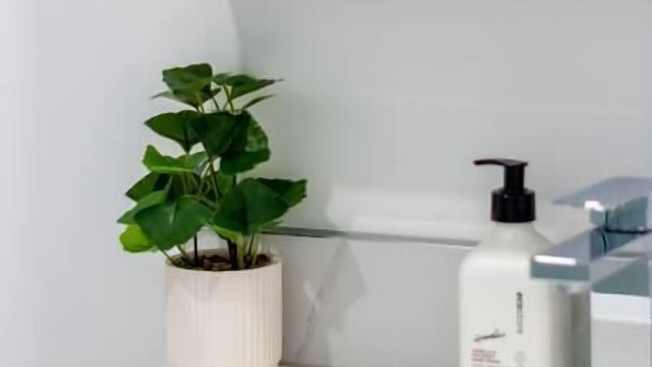 Photo of Others in Upper Riccarton