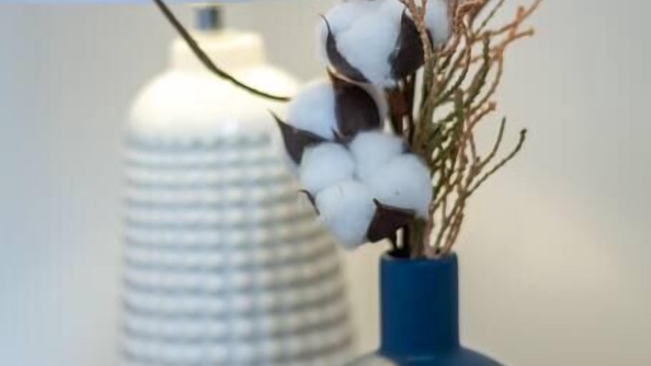 Photo of Others in Upper Riccarton