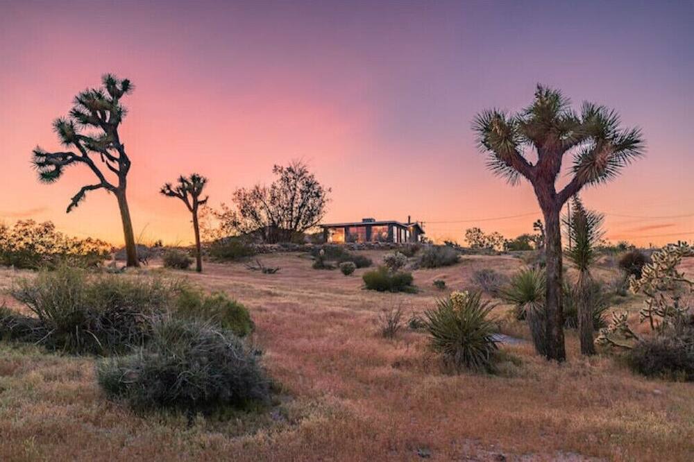 Photo of Others in Yucca Valley