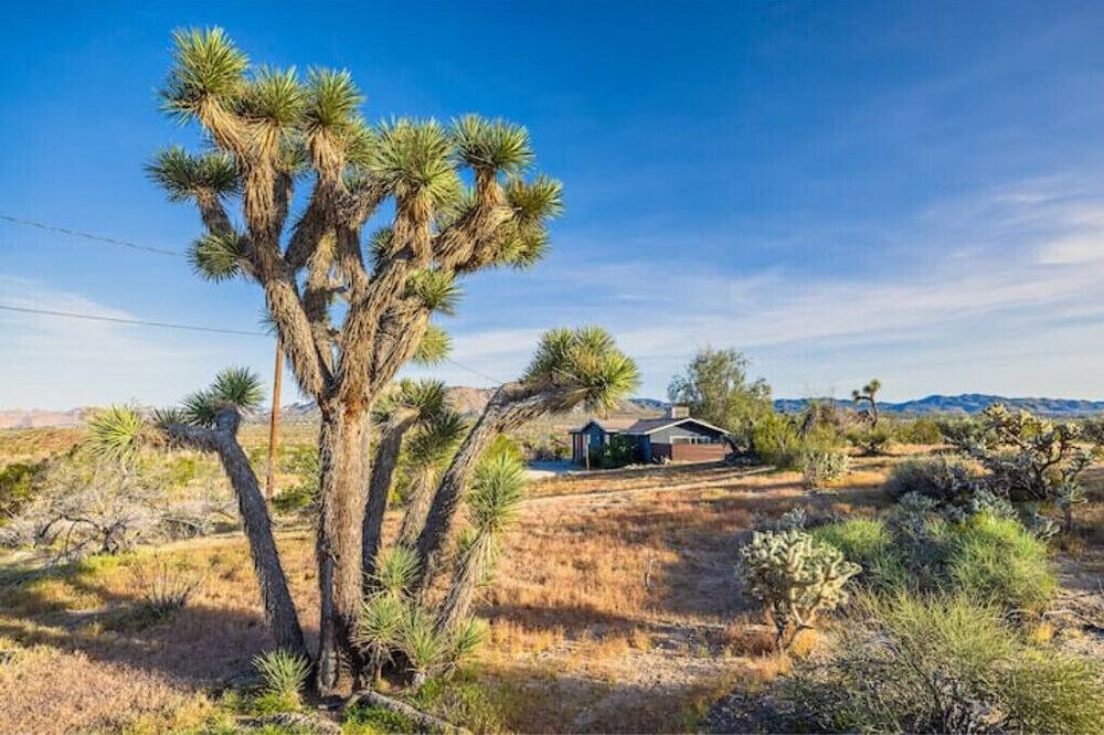 Photo of Others in Yucca Valley