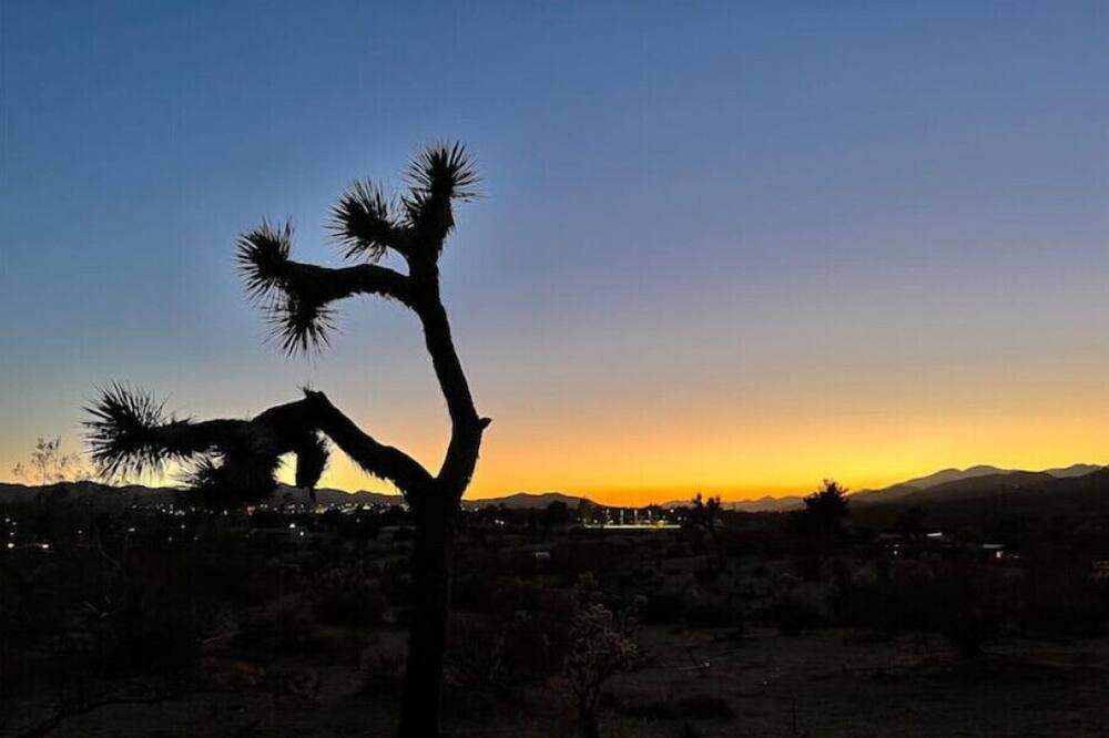 Photo of Others in Yucca Valley