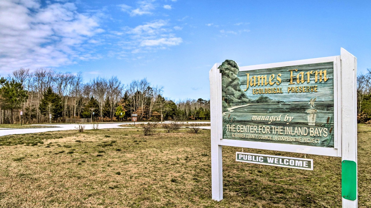 Photo of Others in Cedar Neck