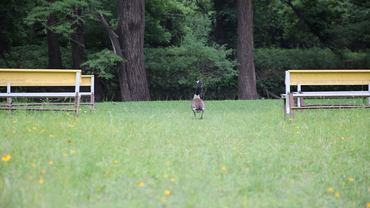 Photo of Outdoor in Bandera