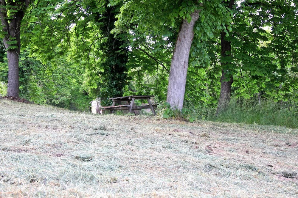 Photo of Outdoor in Serignac