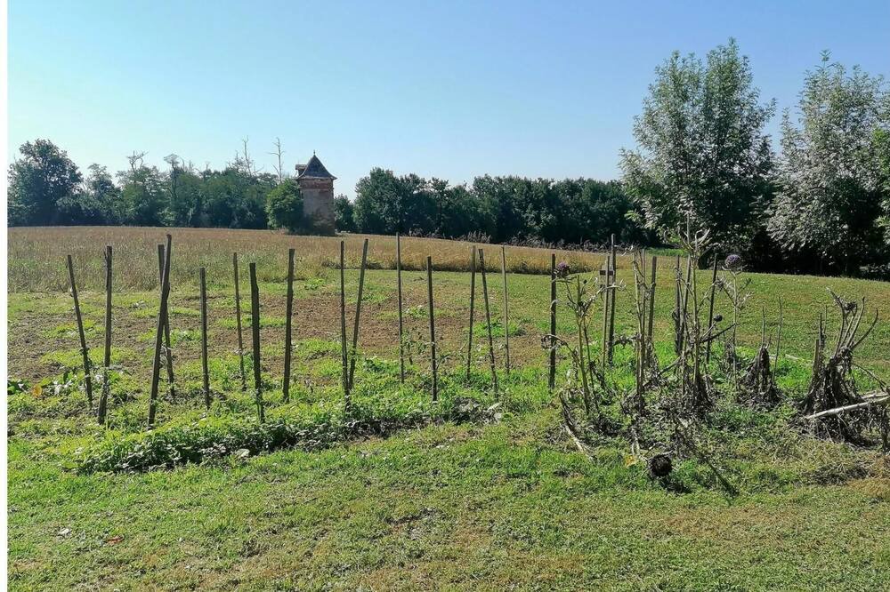 Photo of Outdoor in Castelsarrasin