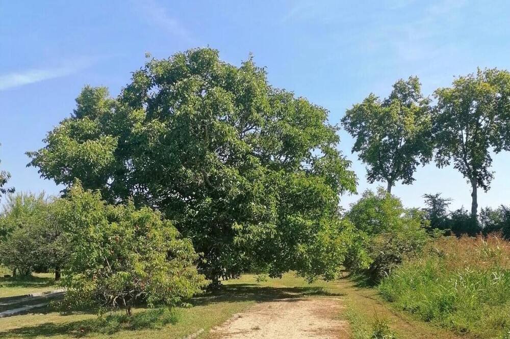 Photo of Outdoor in Castelsarrasin