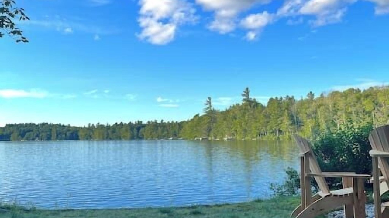 Photo of Others in Springfield