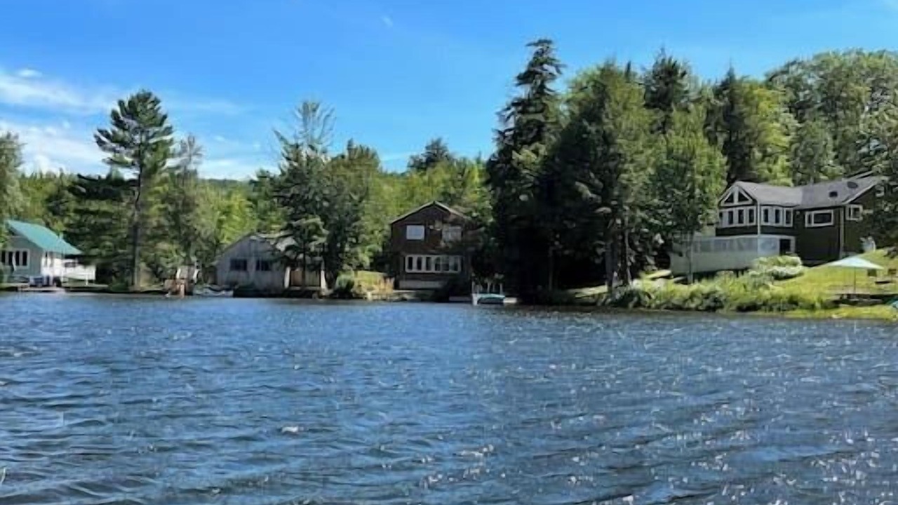 Photo of Others in Springfield