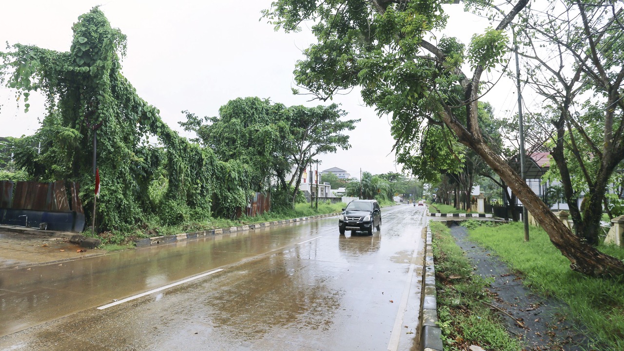 Photo of Outdoor in Tenggarong