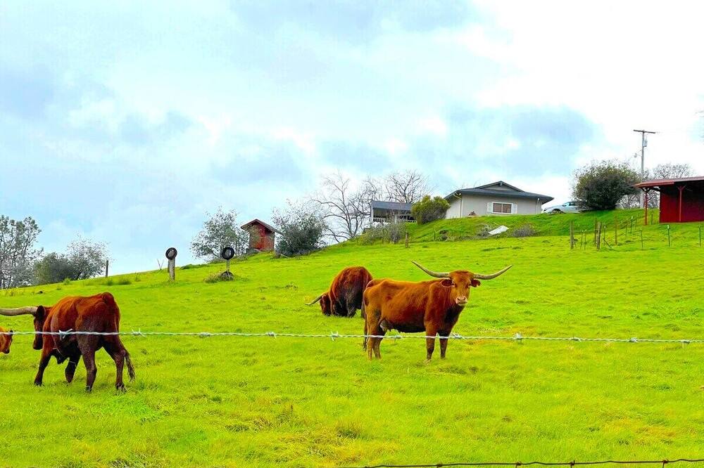 Photo of Outdoor in Loomis