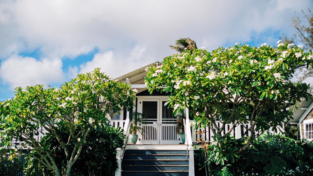 Photo of Others in Hawi