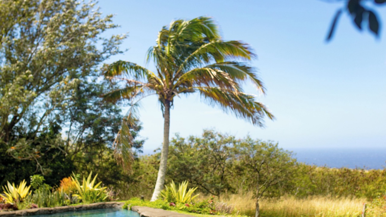 Photo of Outdoor in Hawi