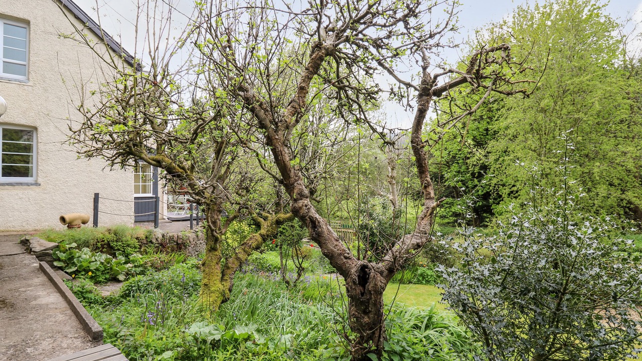 Photo of Outdoor in Knighton