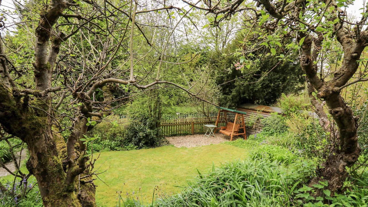 Photo of Outdoor in Knighton